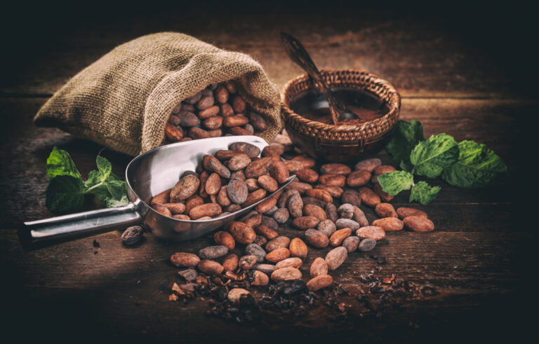 Still life of cocoa